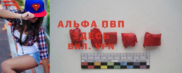 прущие грибы Богородицк