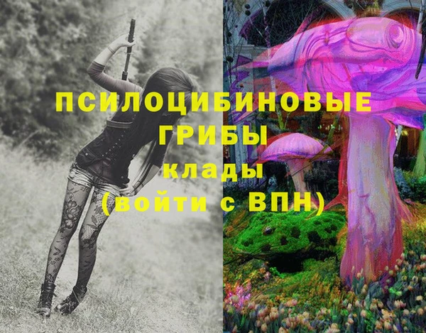 круглые Белокуриха