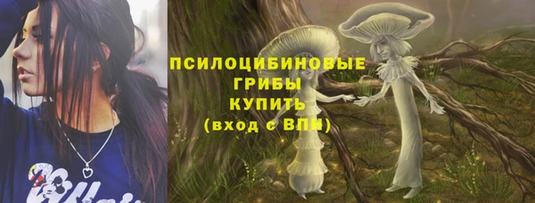 скорость Богданович