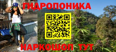 spice Кунгур