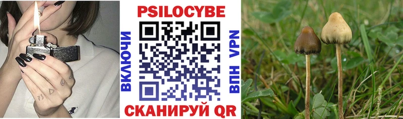 Псилоцибиновые грибы Psilocybine cubensis  mega ТОР  Армавир 