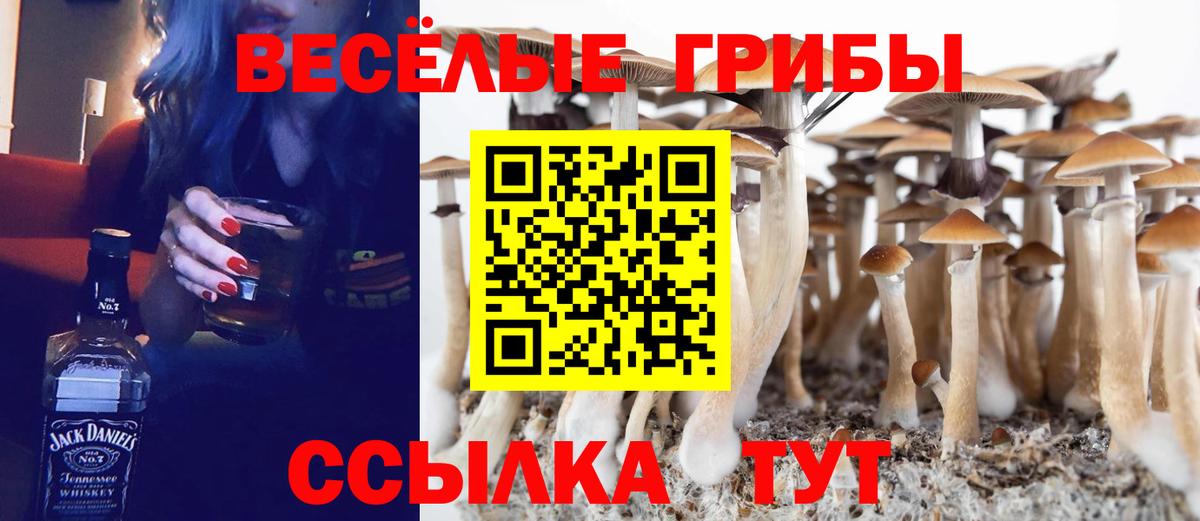 Галлюциногенные грибы MAGIC MUSHROOMS  сколько стоит  Армавир  Вход с VPN  Галлюциногенные грибы Psilocybe 